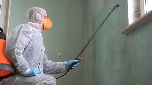 Best Mold Prevention Services in Osgood, IN